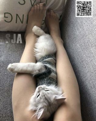 兩根粗大的猛烈進出的視頻_免VIP免費在線觀看